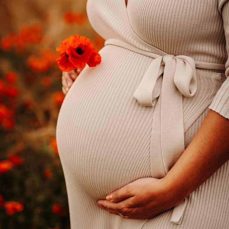 A pregnant female standing among blooming poppy field